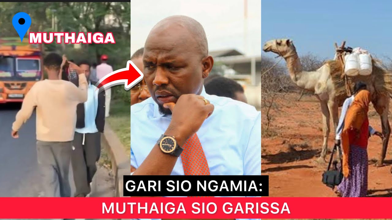 MUTHAIGA SCENE:  Another Somali Guy Caught Shooting Content on Busy Road