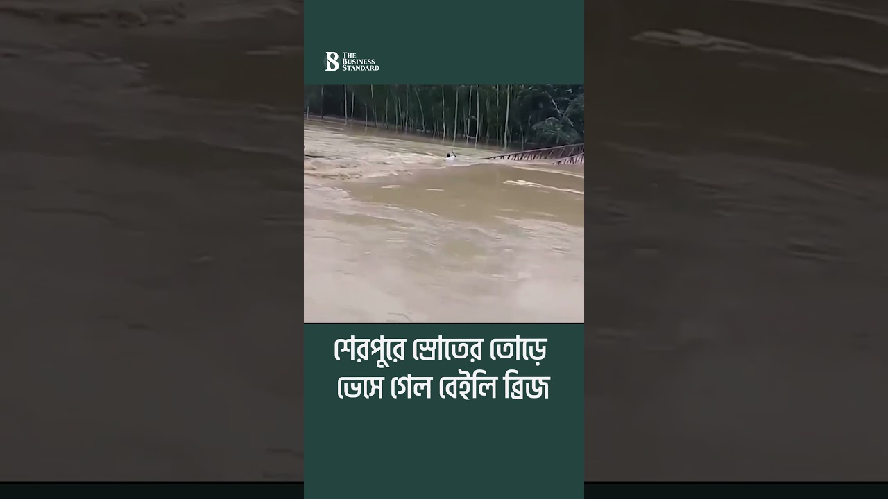 শেরপুরে স্রোতের তোড়ে ভেসে গেল বেইলি ব্রিজ | The Business Standard