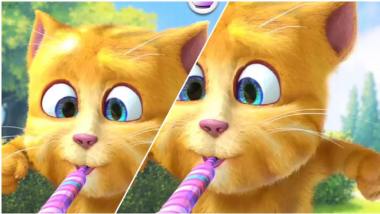Special ginger funny videos kakake kakake kodev dyy😸😸😸🥬🍅🍅🥬🥬🥬🥬🥬🥬🍅🍅🍅🥬😸🌽🌽🥨🥨