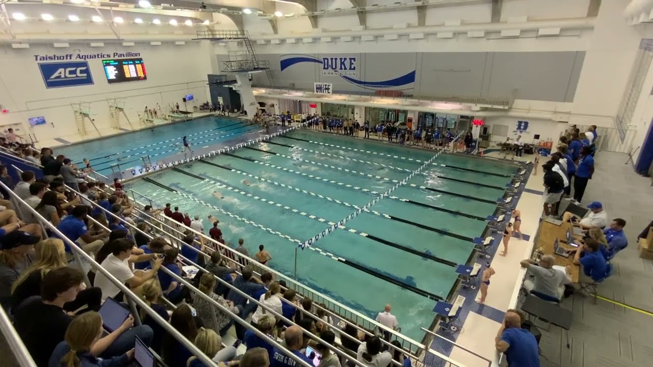 Duke M 200 Free