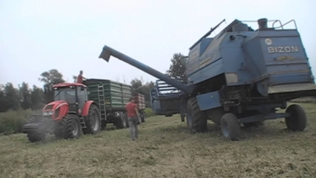 GR Pająków|Ryk Bizona BS Z-110-Do Sprzedania 2016!