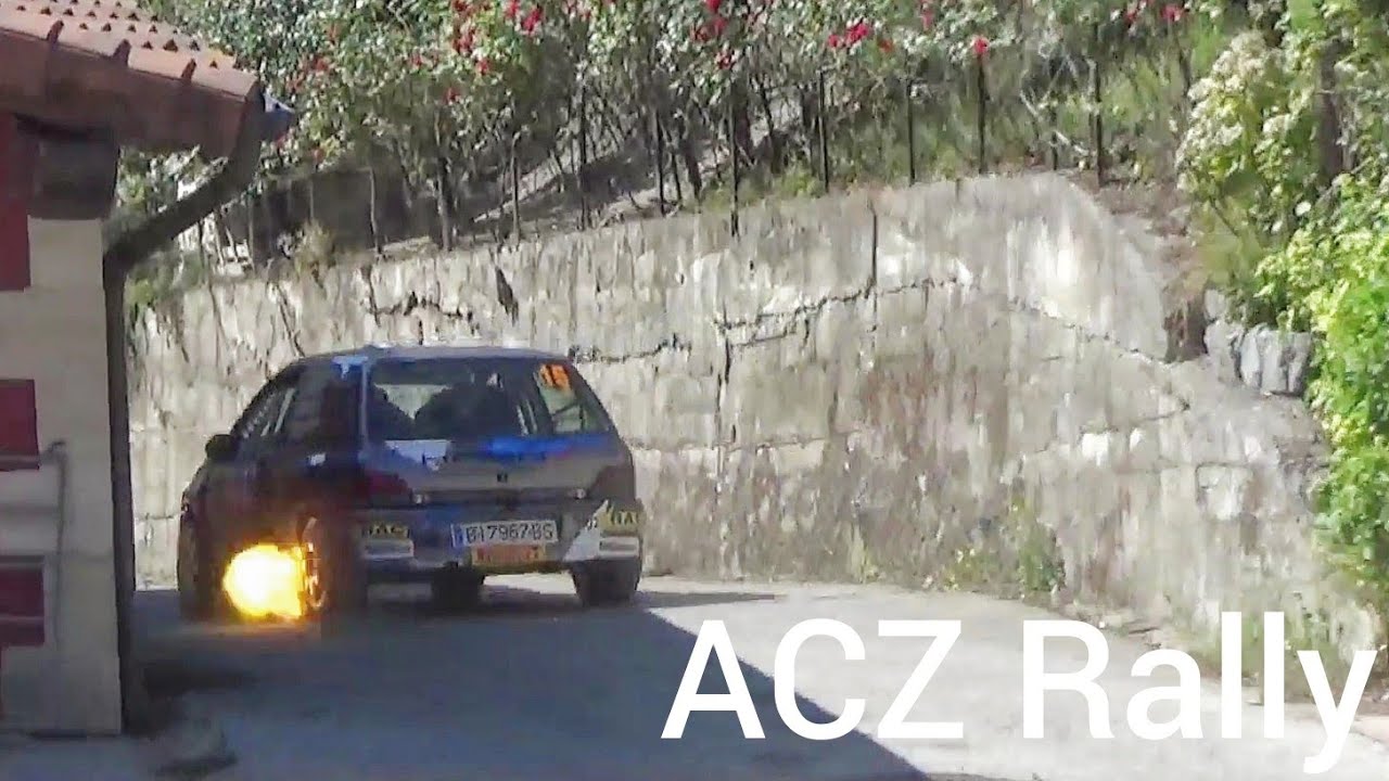Renault Clio Williams Gr.a Rally compilation pure sound!