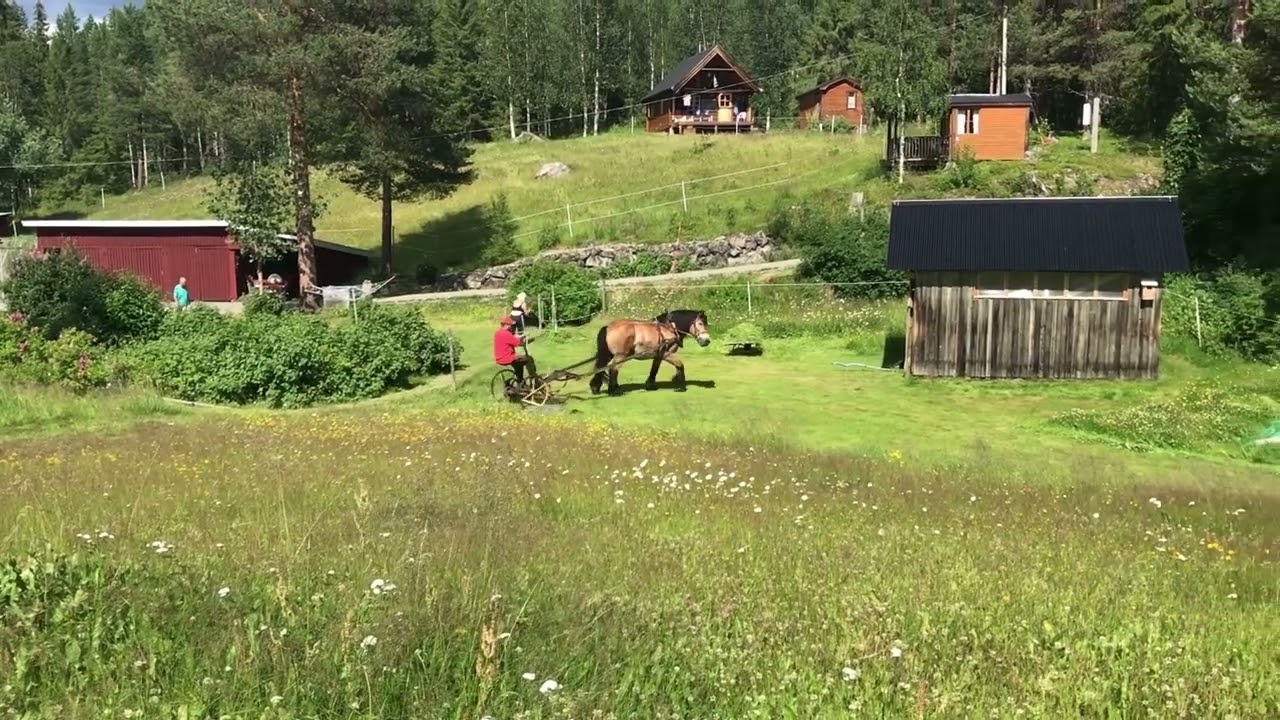 Slåtter Ankarsund