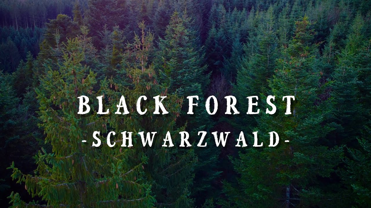 Black Forest (Schwarzwald) Schuttertal and Freiburg - Christmas 2023 [4K]