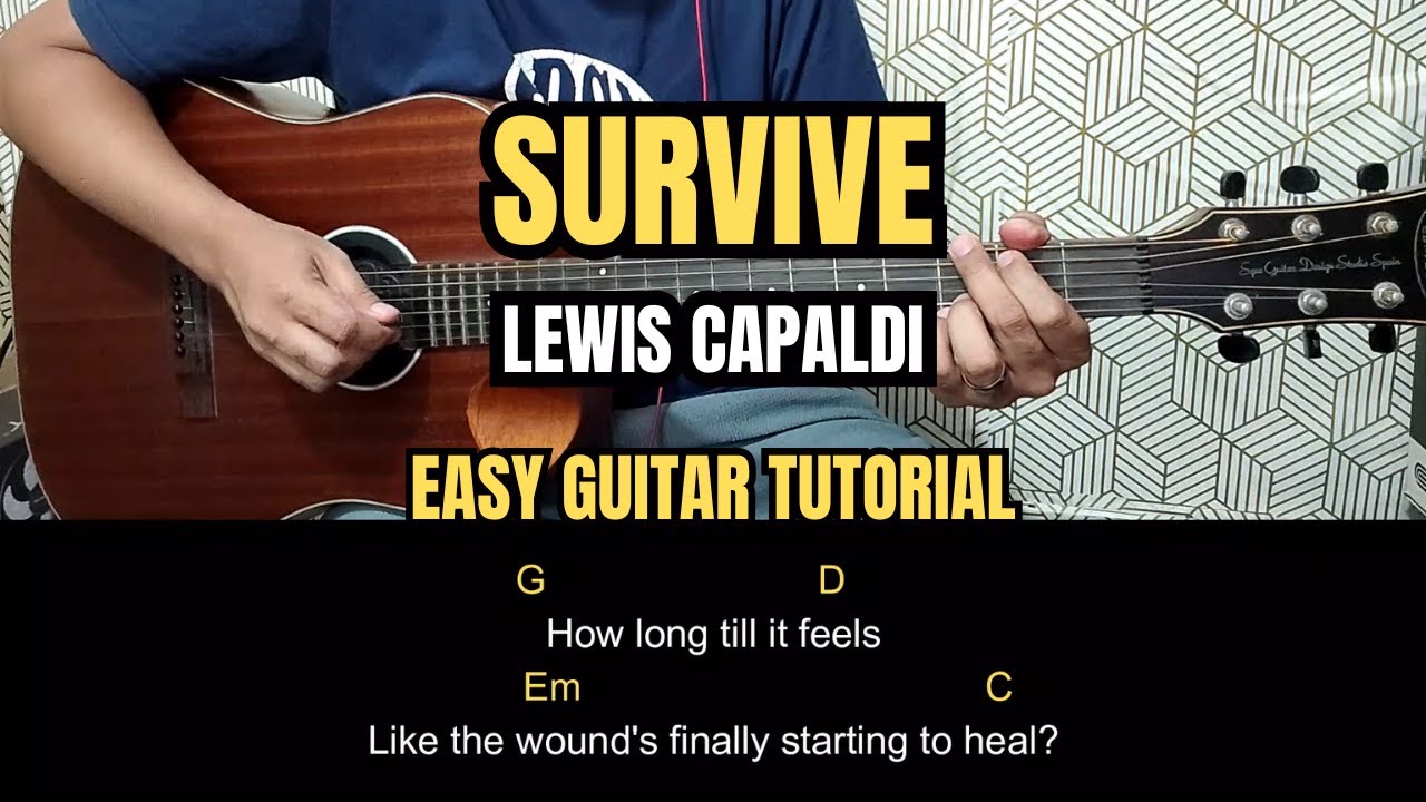 Survive - Lewis Capaldi | Easy Guitar Tutorial
