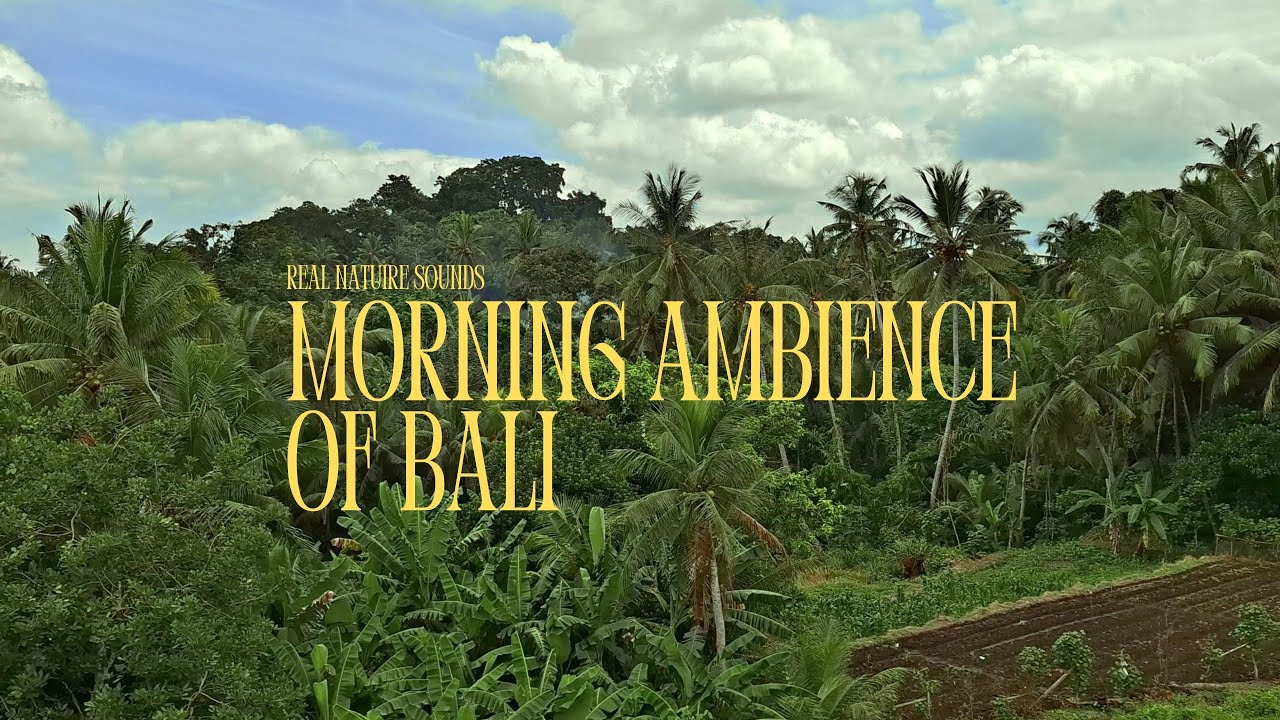 Morning Ambience of Bali - Real Nature Sounds