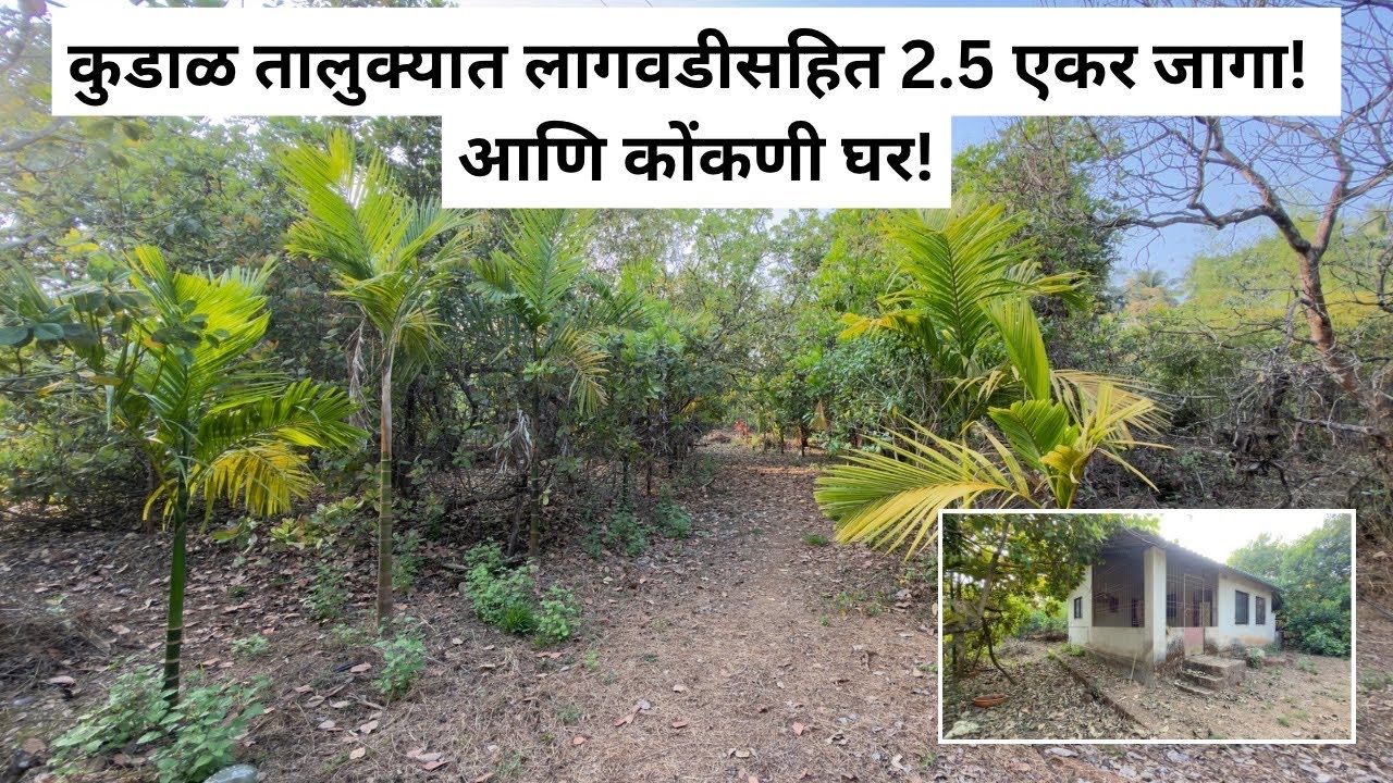 सिंधुदुर्गात कुडाळ तालुक्यात 2.5 एकर आंबा,काजू लागवडीसहित जागा.| बोअरवेल + कोकणी घर.| 