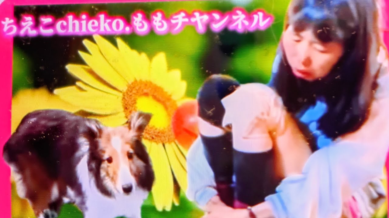 ゲリラライブ