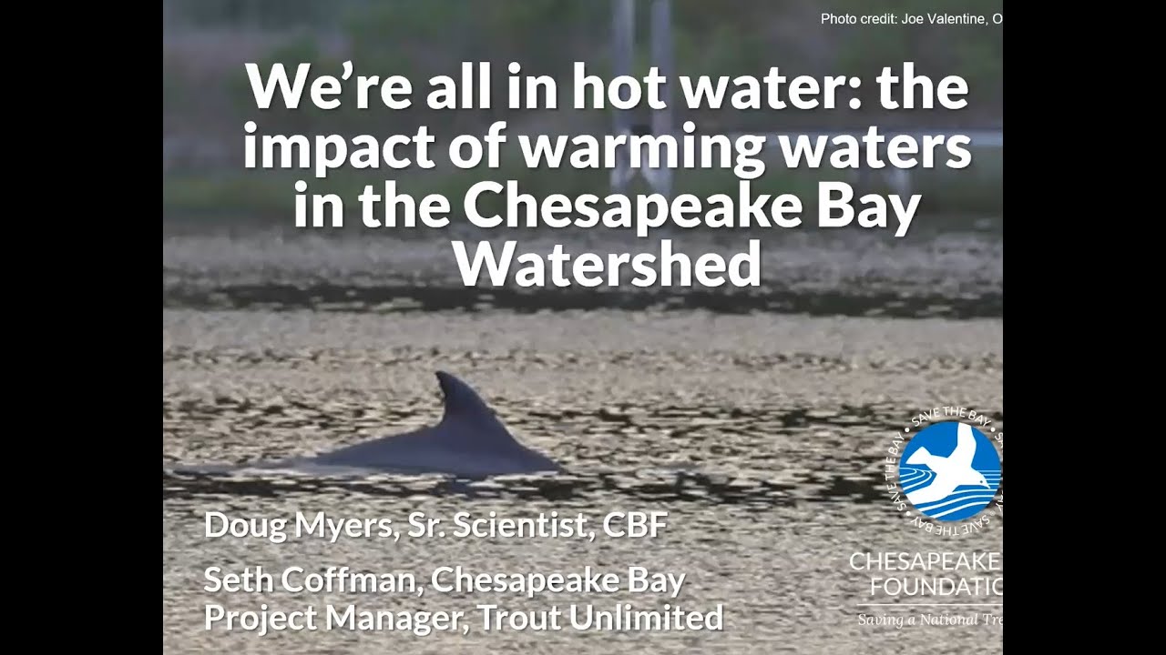 We're All in Hot Water: The Impact of Warming Waters in the Chesapeake Bay Watershed
