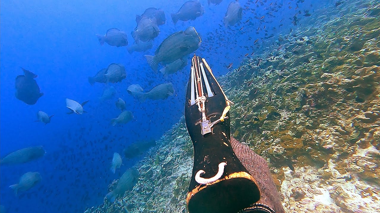 Berburu Ikan Dinosaurus Penghuni Laut Banda