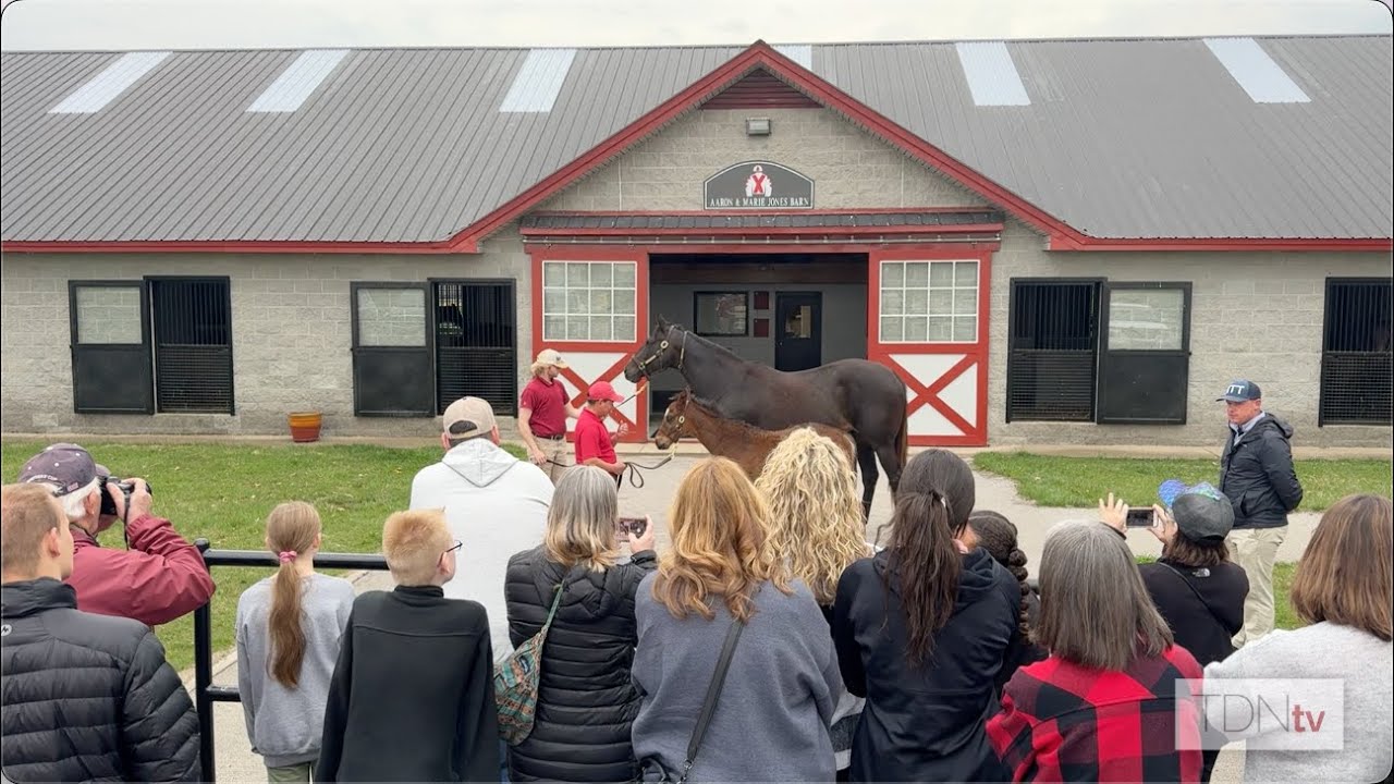Follow along for a tour of Taylor Made Farm