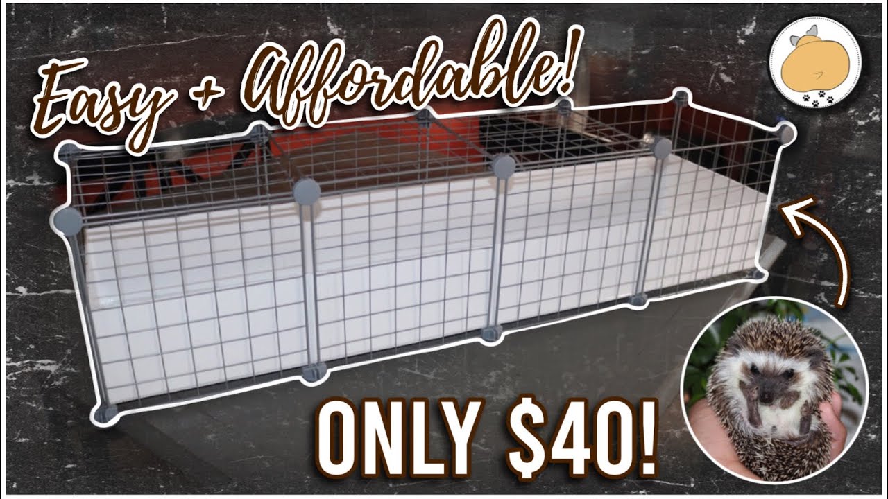 DIY HEDGEHOG C&C CAGE! | African Pygmy Hedgehog Care