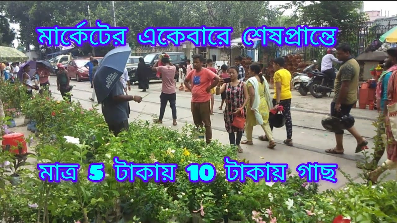 মাত্র 5 টাকায় 10 টাকায় গাছ পাবেন মার্কেটের একেবারে শেষপ্রান্তে Galiff Street Plant Market Kolkata