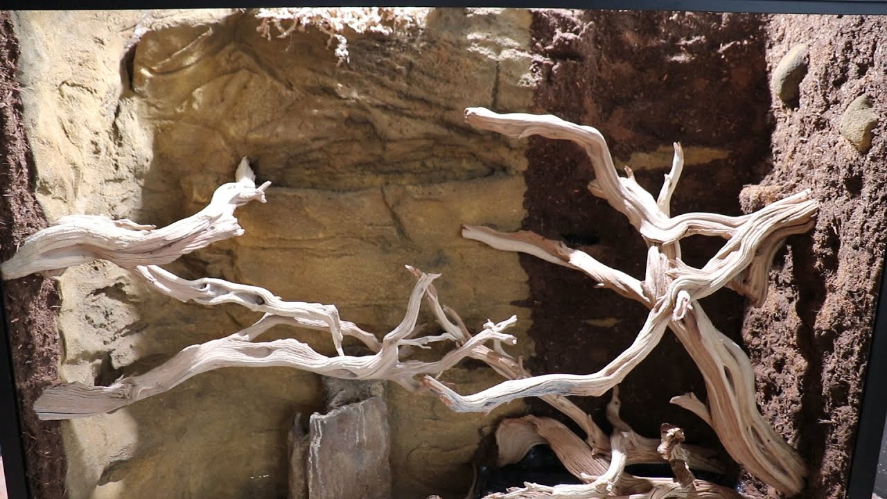 EPIC PALUDARIUM BUILD (Part 2)