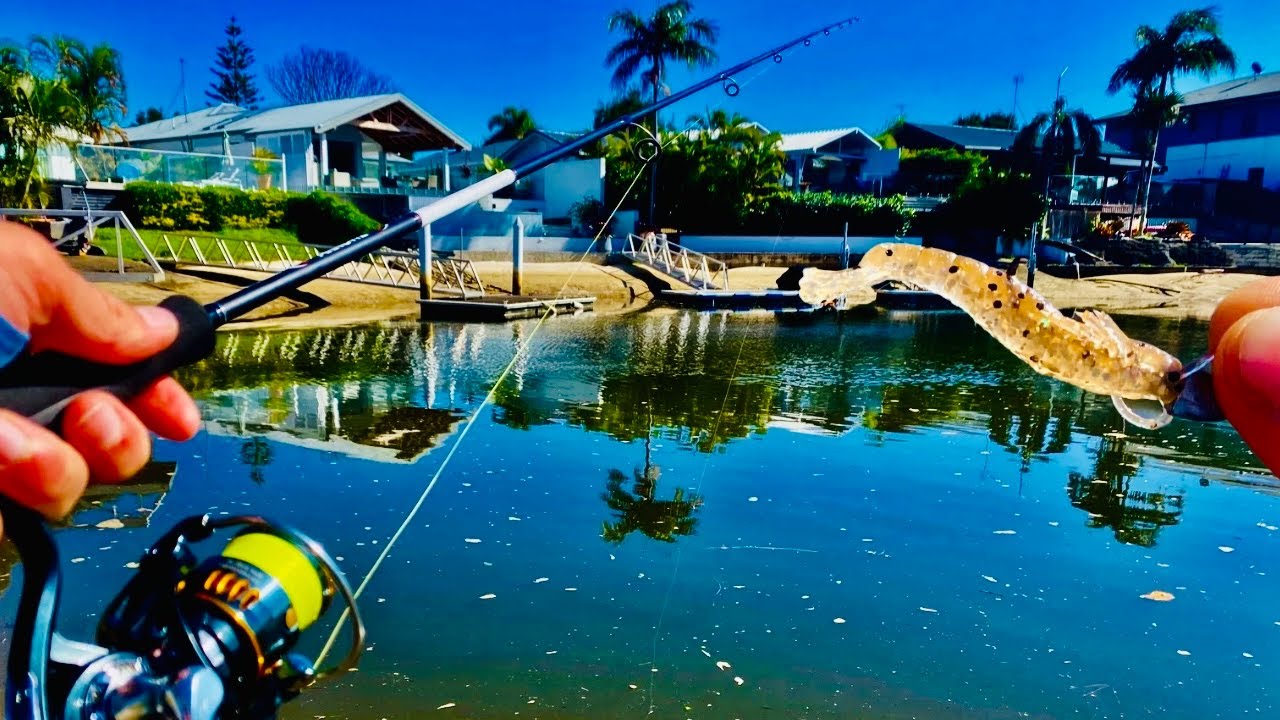 The Art Of Big Winter Bream With Lures