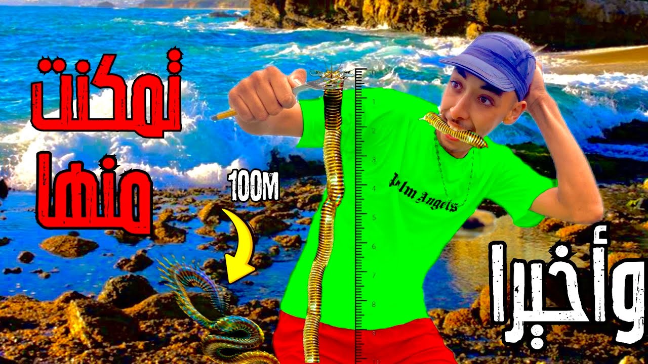 العيش الحر:تحدي صيد أطول دودة🕸️في العالم😨🤯يصل طولها إلى 10امتار وحش البوبيط☠️