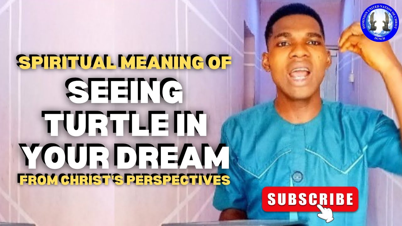 Spiritual Meaning Of Turtle In The Dream