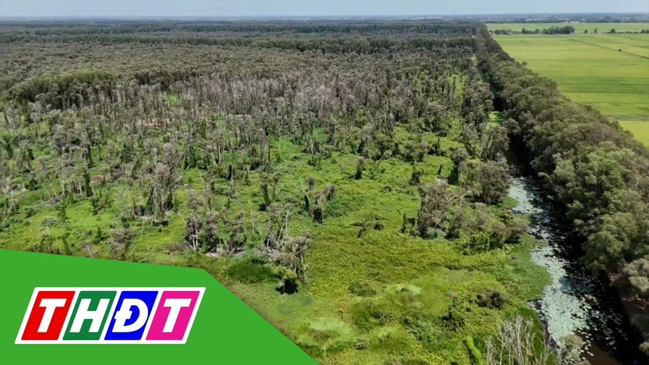 An Giang: Mới vào mùa khô, nguy cơ cháy rừng đã ở mức báo động | THDT