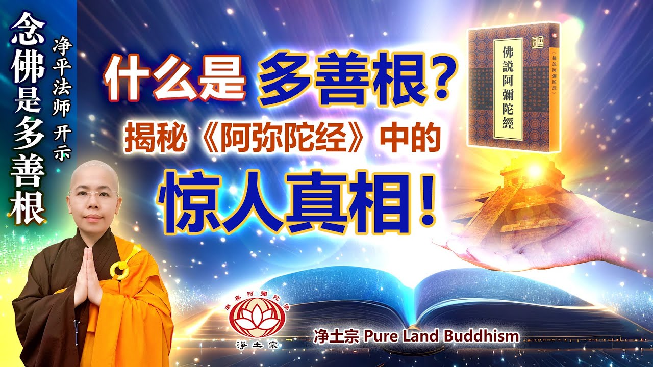 什么是多善根？揭秘《阿弥陀经》中的惊人真相！ | 净平法师 开示