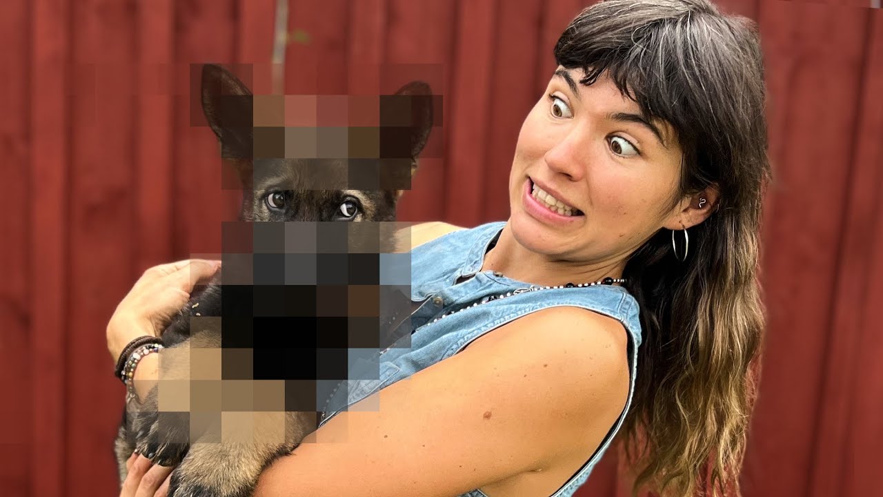 I GOT MY DREAM DOG