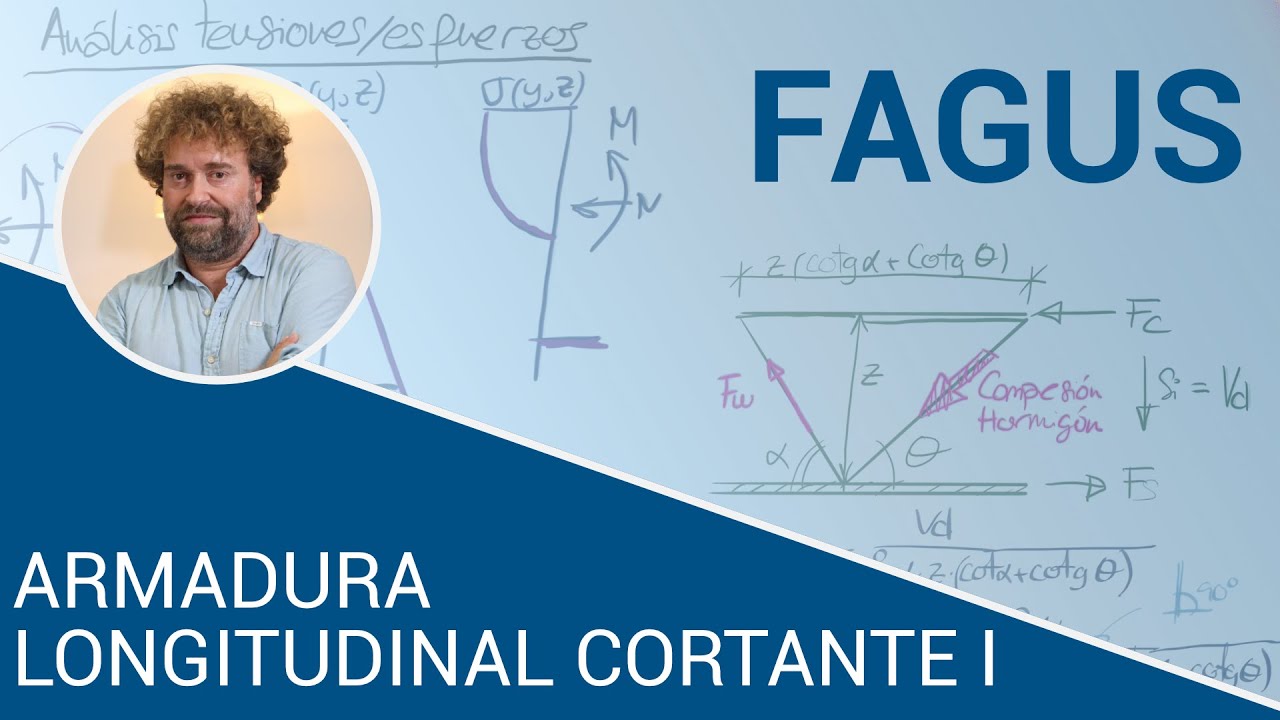 Armadura longitudinal debida al cortante (Parte 1) - Curso de dise&ntilde;o estructural con FAGUS-7