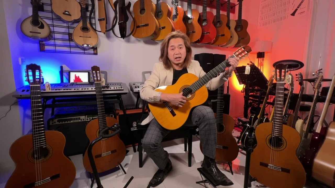Takamine 20, 30, 5, 6 & 7 Classical Guitar sound demo by Neil Ta