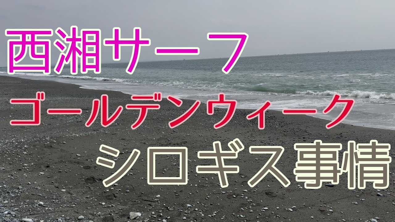 ゴールデンウイーク　西湘サーフ　シロギス調査２　No.68