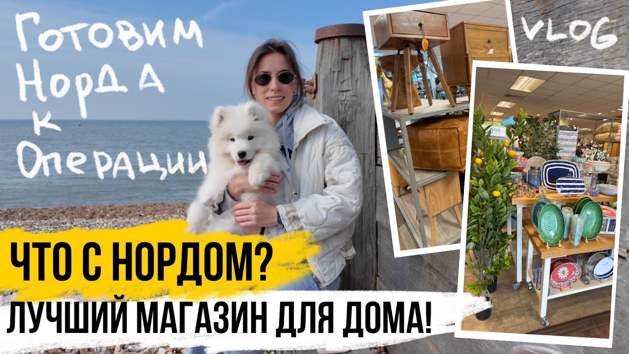 ЧТО С НОРДОМ? Первая поездка на море с собаками и детьми + ЛУЧШИЙ МАГАЗИН ДЛЯ ДОМА 🏡