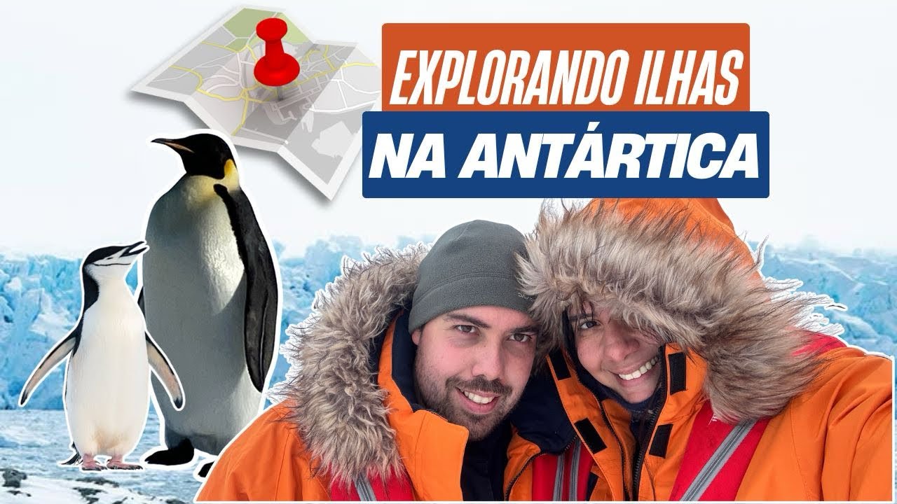 Do Barbicha ao Imperador: Os Pinguins da Antártica 🐧❄️
