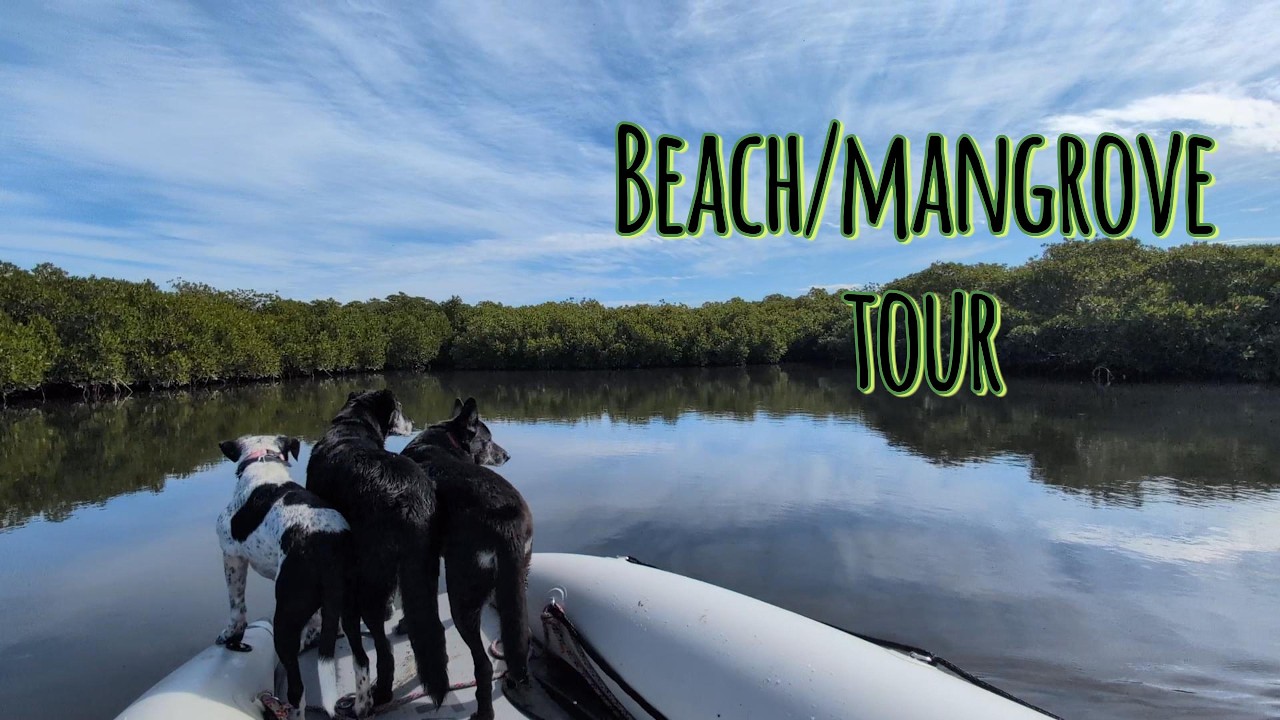 2026 Feb Mangrove beach tour