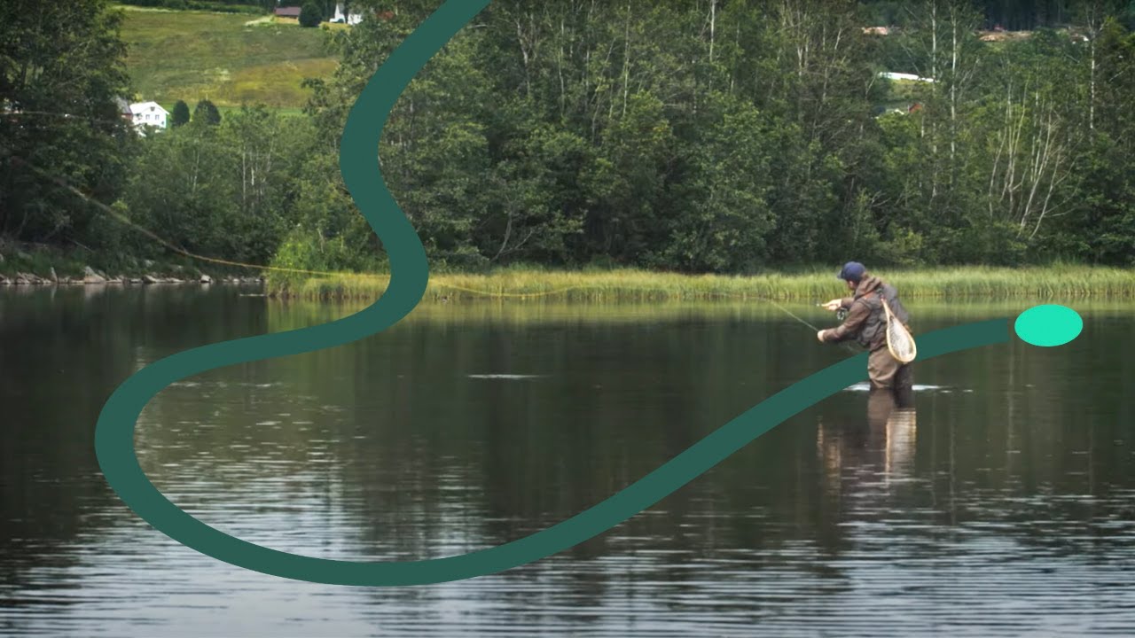 Ørretfiske i Nea - Selbu