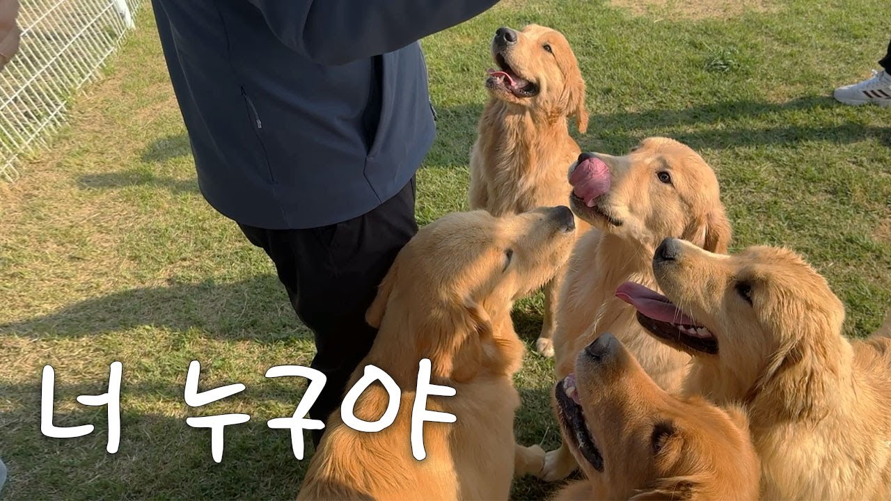 Q. 우디를 찾아보시오. (형제들모임♥︎)