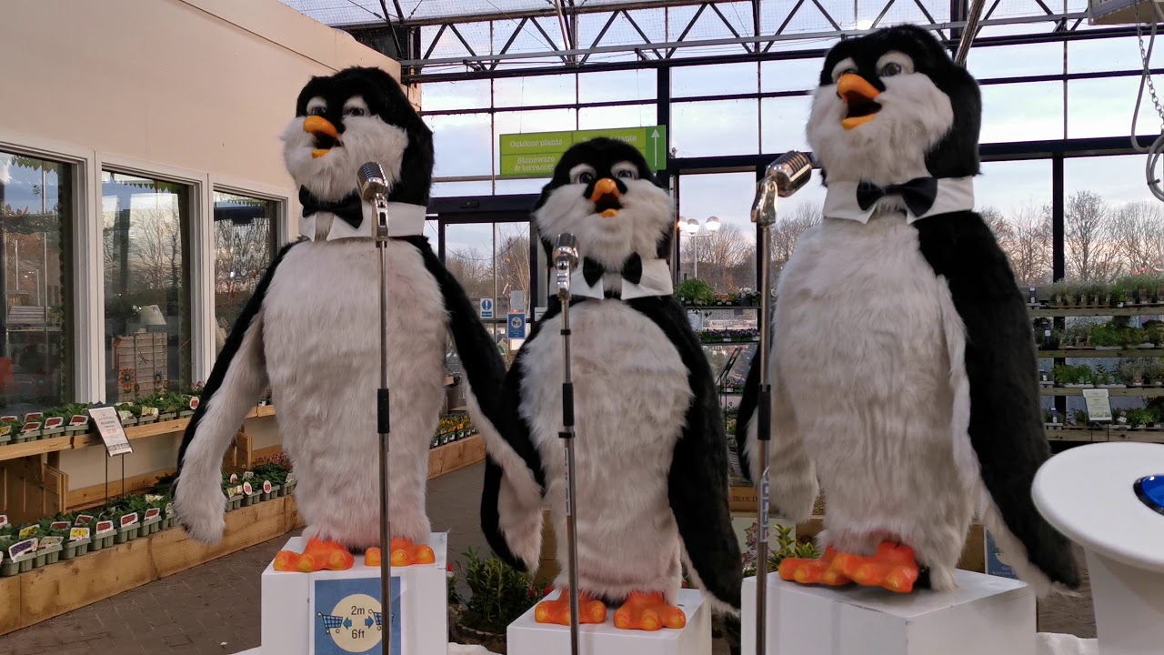 2020.11.24 #1 Christmas singing Penguines, Melbicks, Coleshill, Birmingham