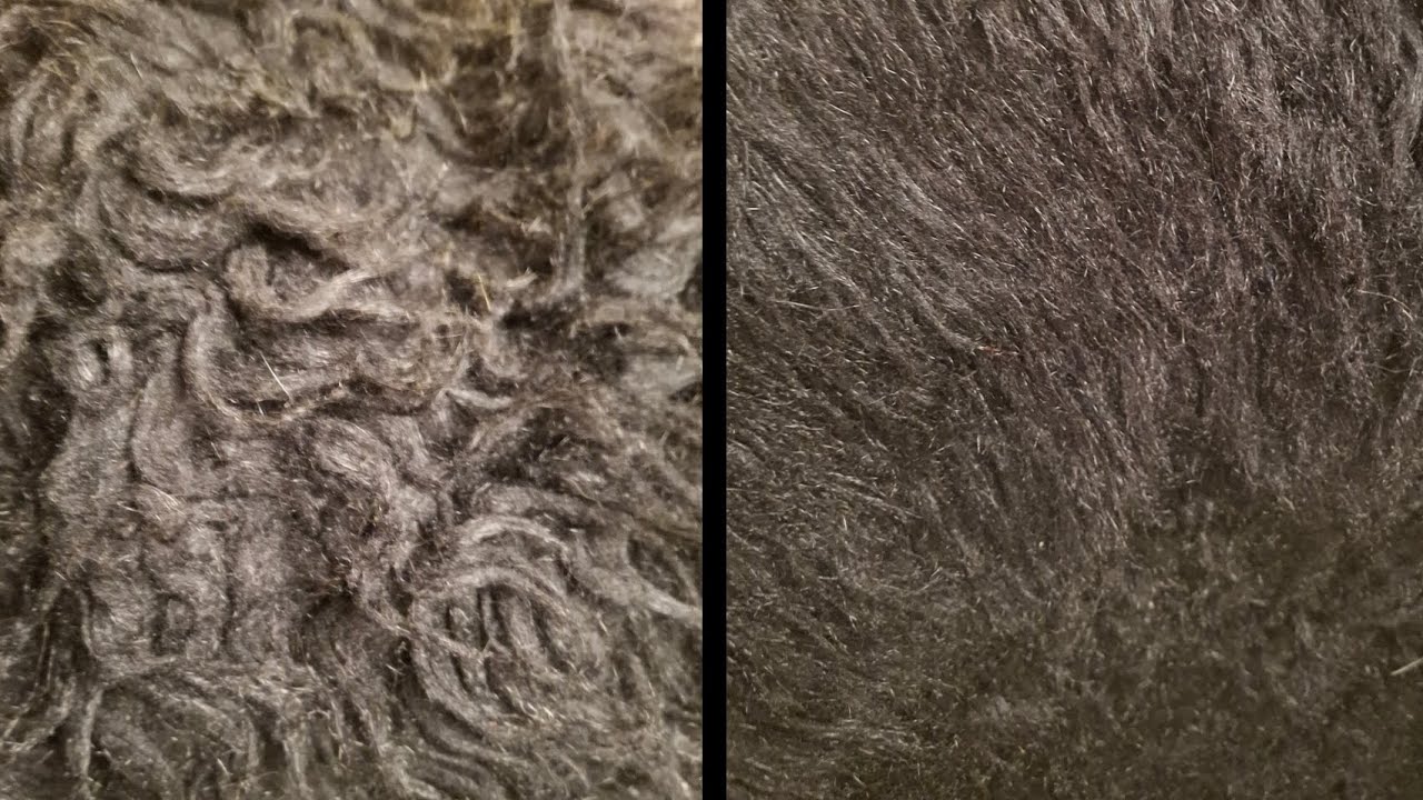 asmr brushing a tangled 