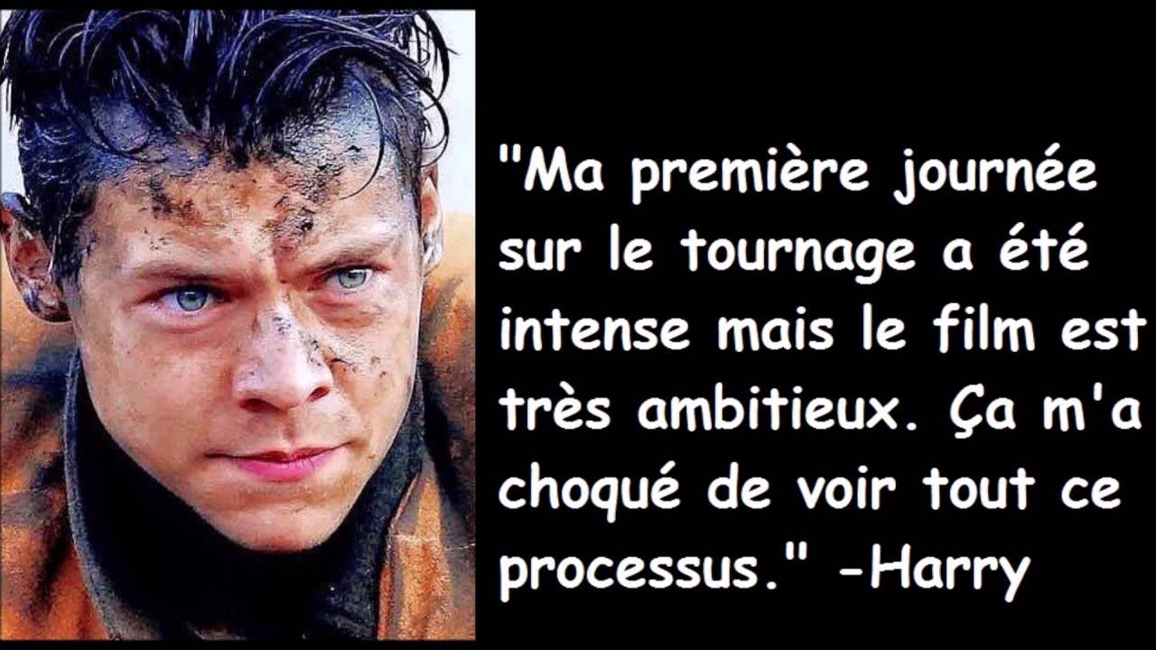 Harry Styles Fact Francais