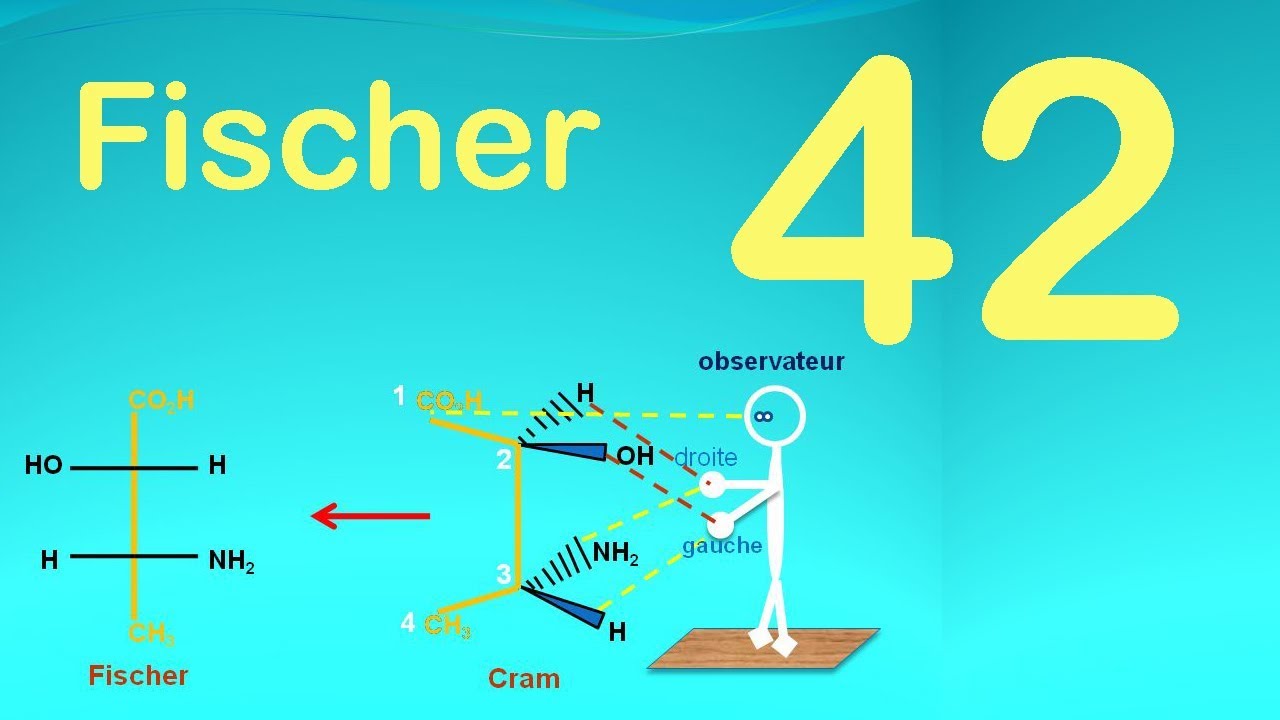 42_Repr&eacute;sentation de Fischer