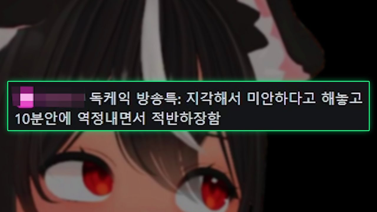 독케익 방송 특: