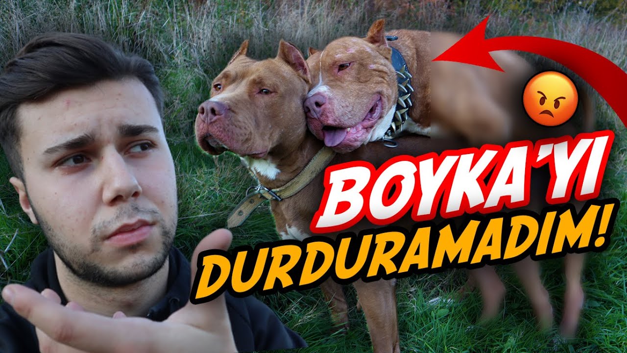 ŞEREFSİZLİK YAPMA BOYKA! 😡 (KONTROLDEN &Ccedil;IKTI)
