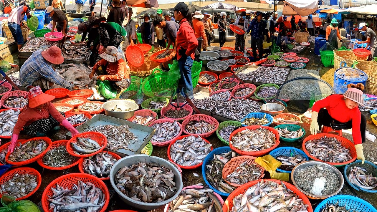 Cambodia Fish Distribution Market, Fish tank Drop From Car, Wet Market, Fish Market Kilo 9