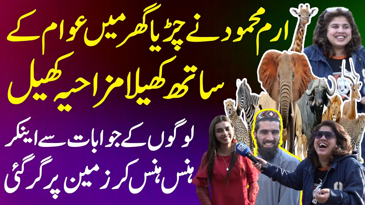 Iram Mahmood Ne Zoo Ma Awam Ke Sath Khela Mazaihya Khel - Anchor Hans Hans Ke Zameen Par Gir Gayi