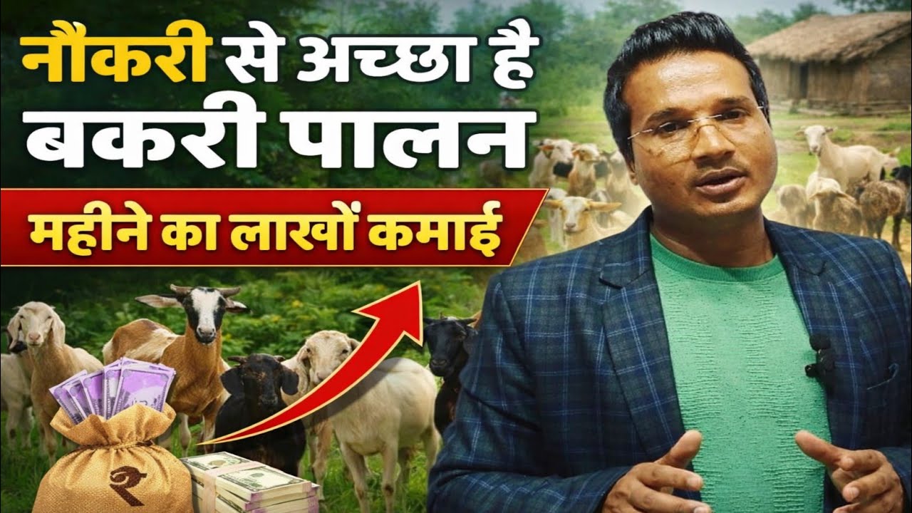 नौकरी से अच्छा है,बकरी पालन || Bakari Palan ka business ideas 2026 | best trending idea in India
