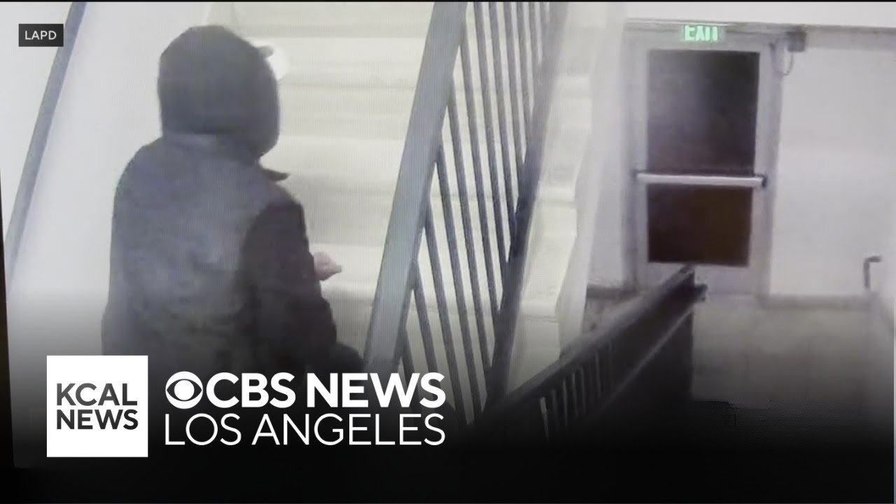 LAPD releases security camera video from killing inside Valley Village apartment complex