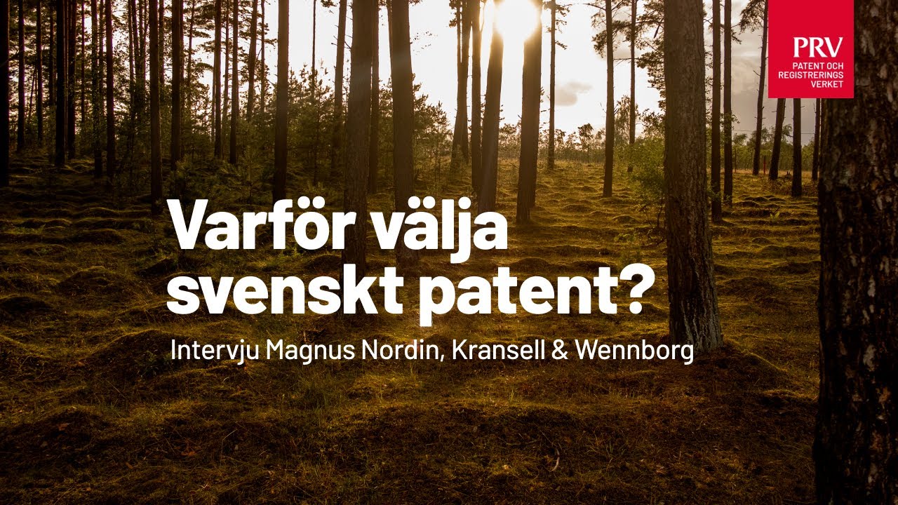 Varf&ouml;r v&auml;lja svenskt patent?