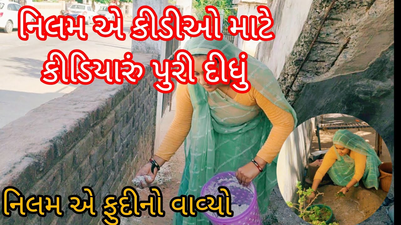 નિલમ એ કીડીઓ માટે કીડિયારું પુરી દીધું 🙂🥰| નિલમ એ ફુદીનો વાવ્યો ☺️ || Nilam Vlogs 