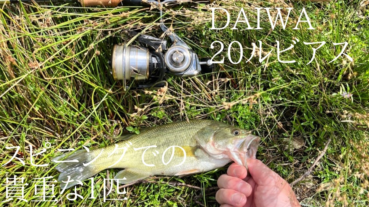 夏の終わりのリザーバー釣行！貴重な１匹
