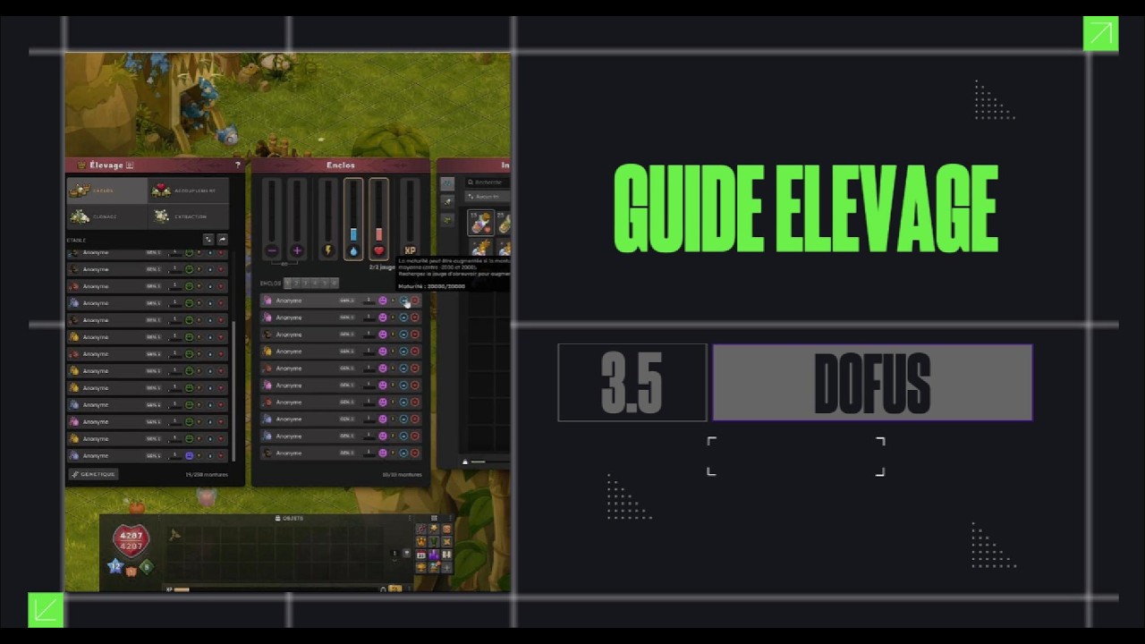 🐲 GUIDE ÉLEVAGE DOFUS SIMPLIFIÉ 🐾 | Tout Comprendre De A à Z