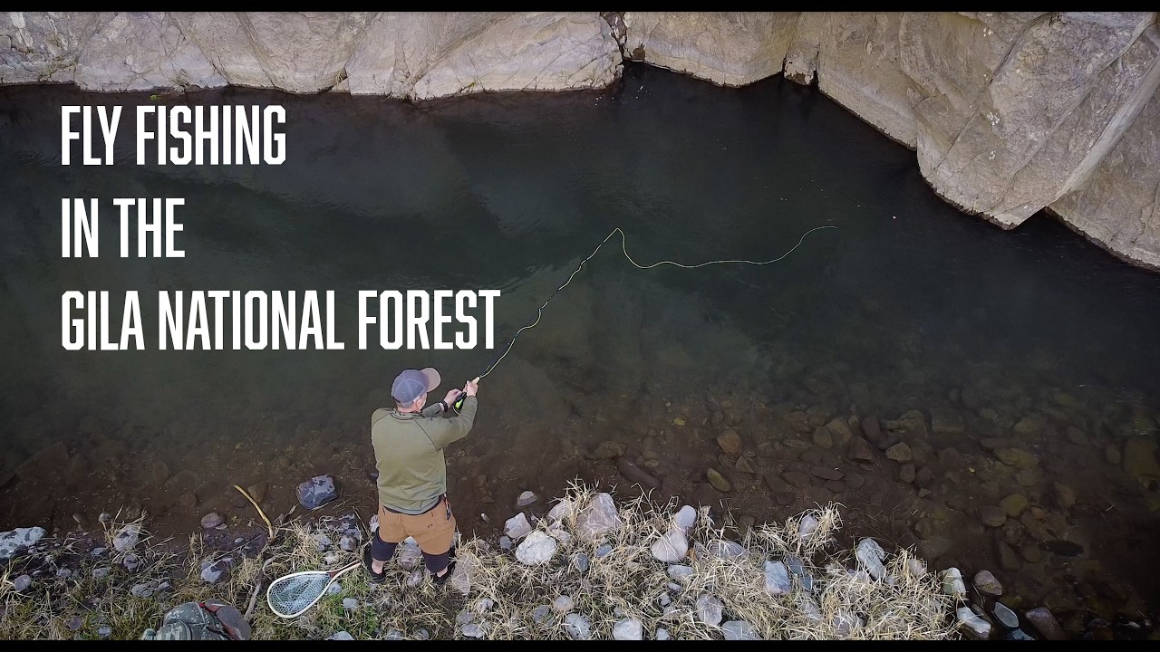 Fly Fishing in the Gila National Forest