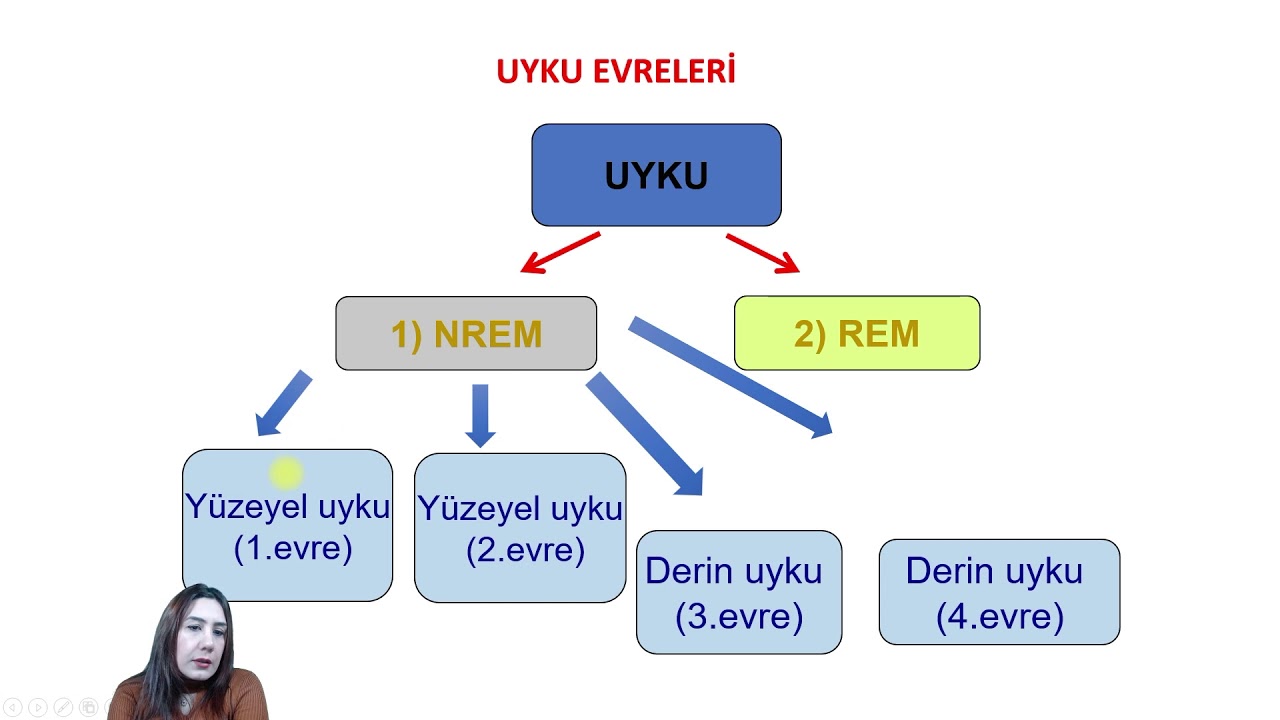 uyku bozuklukları