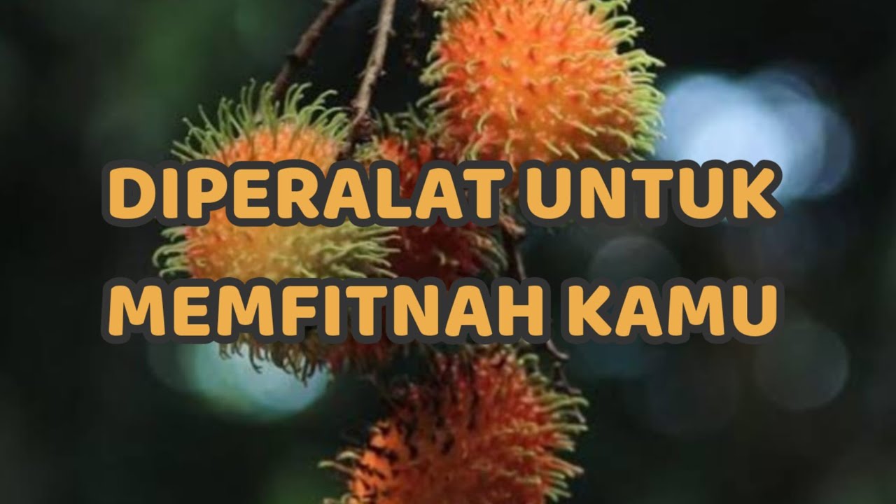 🎆 DIPERALAT UNTUK MEMFITNAH KAMU 🎆
