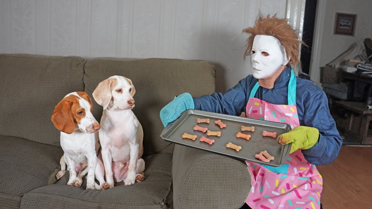 Michael Myers Befriends Cute Dogs: Funny Dogs Maymo, Penny & Potpie